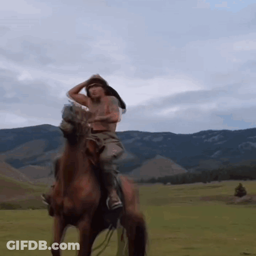 A Man Riding On The Back Of A Horse With A Bird On His Head GIF