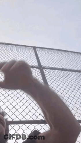 A Man 'S Arm Is Visible Behind A Chain Link Fence Against A Blue Sky GIF