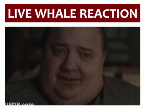 A Man 'S Face Is Behind A Sign That Says ' Live Whale Reaction ' GIF