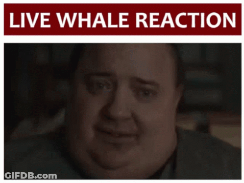 A Man 'S Face Is Under A Sign That Says " Live Whale Reaction " GIF