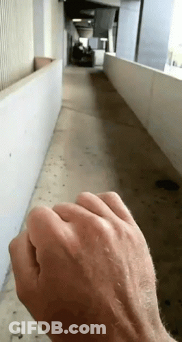 A Man 'S Hand Is Visible In A Hallway GIF