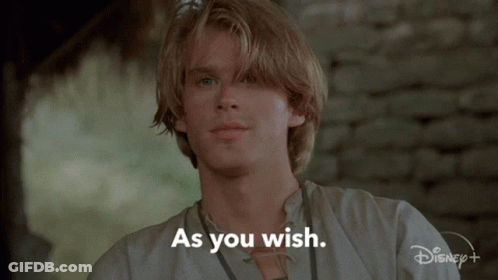 A Man Says " As You Wish " In Front Of A Disney Logo GIF