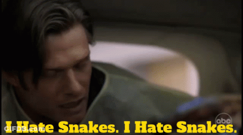 A Man Says " I Hate Snakes I Hate Snakes " In Yellow Letters GIF