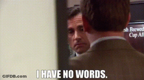 A Man Says I Have No Words In Front Of A Mirror GIF