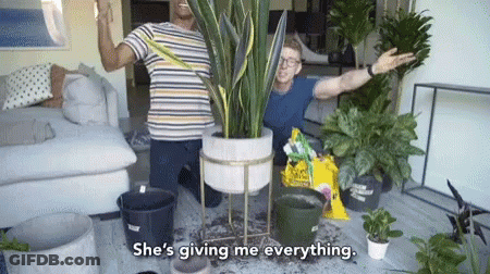 A Man Says She 'S Giving Me Everything While Kneeling Next To A Potted Plant GIF