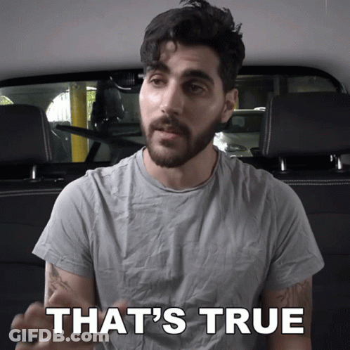A Man Says That 'S True In A Car GIF