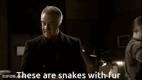 A Man Says These Are Snakes With Fur In A Dark Room GIF