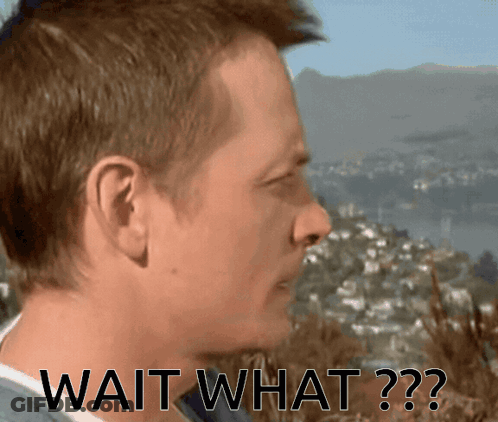 A Man Says Wait What In Front Of A Landscape GIF