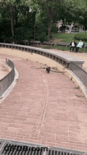 A Man Sits On A Bench In A Park While Another Man Sits On A Brick Walkway GIF