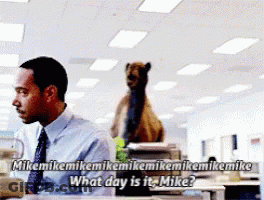 A Man Sitting At A Desk With A Bear On Top Of A Stack Of Papers Asking What Day Is It GIF