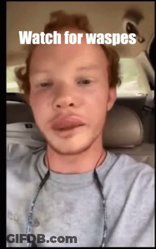 A Man Sitting In A Car With The Words Watch For Waspes Written On His Face GIF