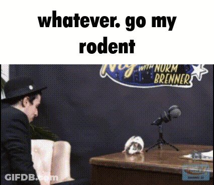 A Man Sitting In Front Of A Microphone With The Words " Whatever Go My Rodent " Written Above Him GIF