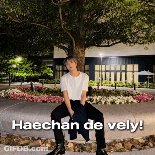 A Man Sitting In Front Of A Tree With The Words Haechan De Vely Written Below Him GIF