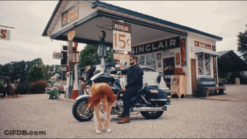 A Man Sitting On A Motorcycle In Front Of A Gas Station That Says Regular 15 Cents GIF