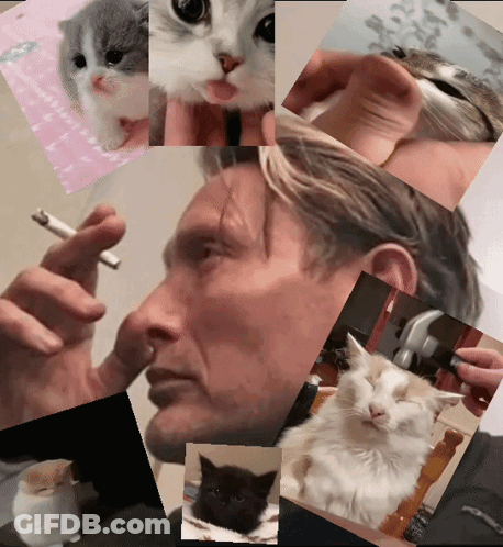 A Man Smoking A Cigarette And Holding A Cat GIF
