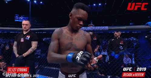 A Man Standing In A Cage With Ufc 2019 Decade In Review On The Bottom GIF
