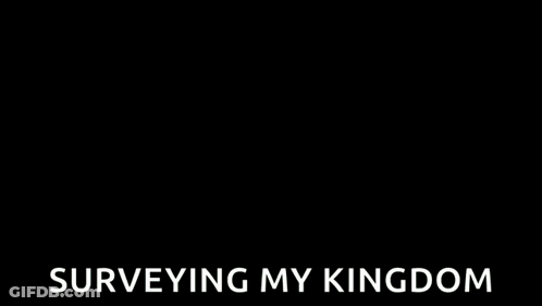 A Man Standing In Front Of A Castle With The Words Surveying My Kingdom Written Below Him GIF