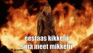 A Man Standing In Front Of A Fire With The Words " Eestas Kikkelii Sina Meet Mikkelii " GIF