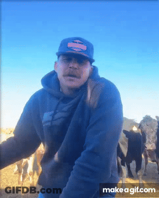 A Man Standing In Front Of A Herd Of Cows With Make A Gif.com At The Bottom Of The Image GIF