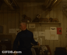 A Man Standing In Front Of A Shelf With Stuffed Animals GIF