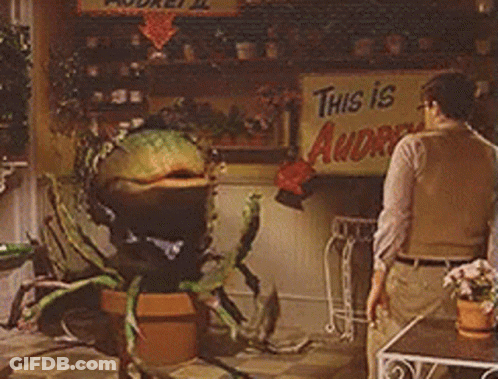 A Man Standing In Front Of A Sign That Says " This Is Audrey " GIF
