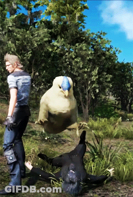 A Man Standing Next To A Bird That Is Flying Over A Person Laying On The Ground GIF
