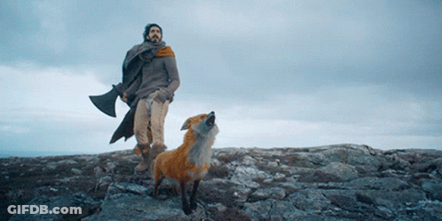 A Man Standing Next To A Fox On Top Of A Rocky Hill GIF