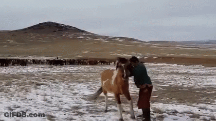 A Man Standing Next To A Horse In The Snow . GIF