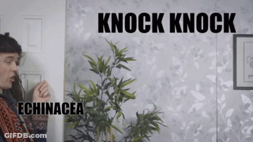 A Man Standing Next To A Plant With The Words " Knock Knock " Written On It GIF