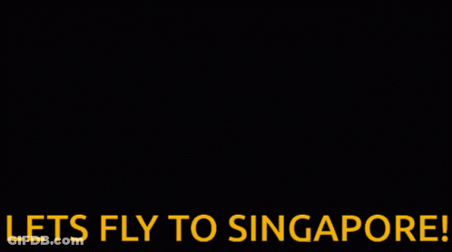 A Man Standing On A Beach With The Words Lets Fly To Singapore GIF
