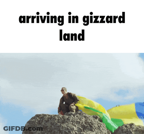 Man Standing On Rock Arriving In Gizzard Land GIF