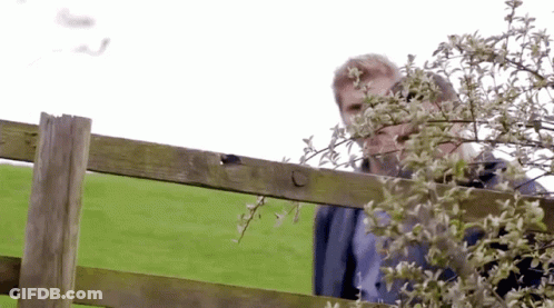 A Man Stands Behind A Wooden Fence In A Grassy Field GIF