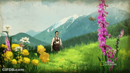 A Man Stands In A Field Of Flowers With Mountains In The Background And A National Geographic Logo In The Corner GIF
