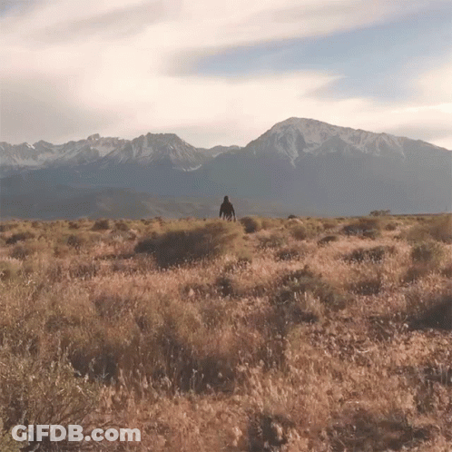 A Man Stands In A Field With Mountains In The Background GIF