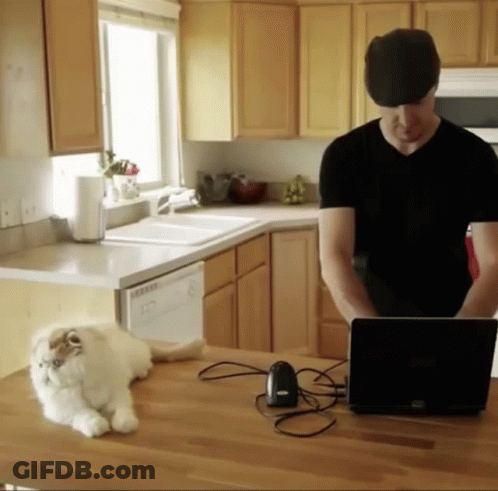 A Man Stands In A Kitchen With A Laptop And A Cat Laying On The Counter GIF