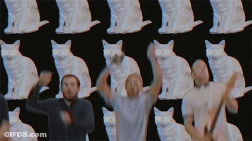 A Man Stands In Front Of A Wall Of White Cats GIF
