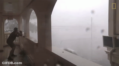 A Man Stands In Front Of A Window With A Sign That Says Exit On It GIF
