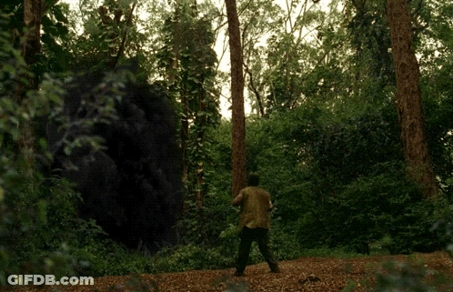 A Man Stands In The Middle Of A Forest Looking At A Large Rock GIF