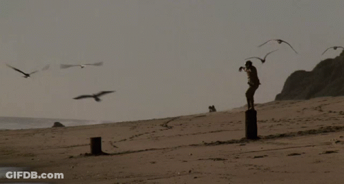 A Man Stands On A Pole On A Beach With Birds Flying Around Him GIF