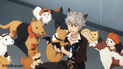 A Man Surrounded By Dogs And Cats With One Wearing A Pumpkin Headband GIF