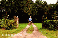 A Man Walking Down A Dirt Road In A Field GIF
