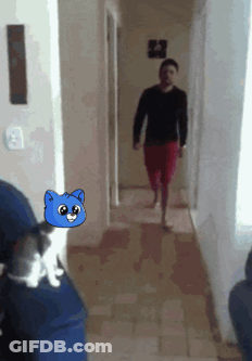 A Man Walking Down A Hallway With A Blue Cat In The Background GIF