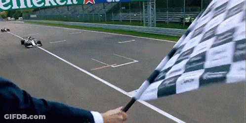 A Man Waves A Checkered Flag On A Race Track GIF