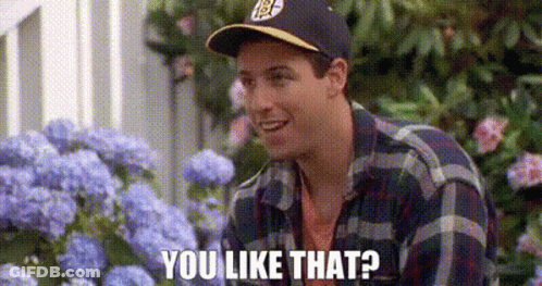 A Man Wearing A Baseball Cap And Plaid Shirt Is Standing In Front Of Purple Flowers And Says `` You Like That '' . GIF