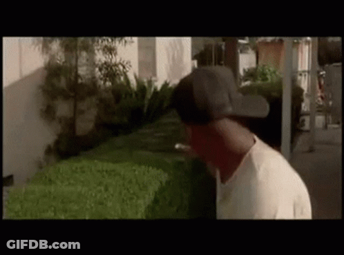 A Man Wearing A Baseball Cap Is Standing Next To A Bush . GIF