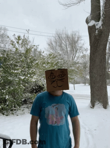 A Man Wearing A Blue Shirt With A Cat On It Has A Cardboard Box On His Head GIF