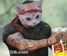 A Man Wearing A Cat Mask Is Holding A Bottle Of Jelly Bug Killer GIF