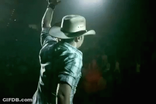 A Man Wearing A Cowboy Hat And A Plaid Shirt Is Standing On A Stage With His Arms In The Air . GIF