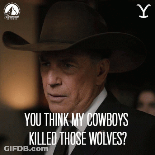 A Man Wearing A Cowboy Hat And A Suit Says You Think My Cowboys Killed Those Wolves GIF