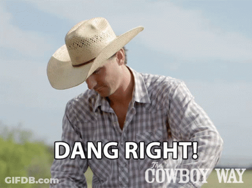 A Man Wearing A Cowboy Hat And Plaid Shirt Says " Dang Right " GIF